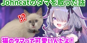【ホロEN】ビブー、飼い猫のタマを取ってもらった話「目覚めてタマが無かったらどうする！？」