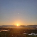 医食同源里山日記