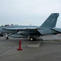 U.S.NAVY VFA-102  F/A-18F ～岩国FD2026～