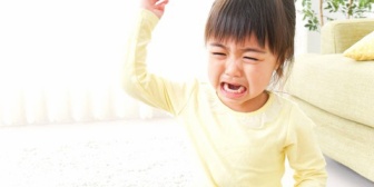 気に入らないことがあるとすぐ叩く2歳児にイライラする。