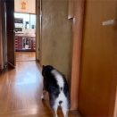 OKか？