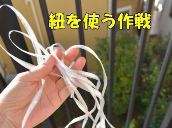 【ベランダ大掃除】戸建て2階・水道なしでもOK！ホースを上げて掃除する簡単アイデア✨