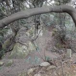 �طڤ����⤭�٤β���