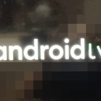 セガレの知恵袋