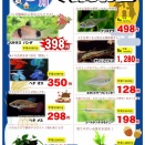 SONO水草パック販売速報(2026.9/3～ メイクマン豊見城店 様)