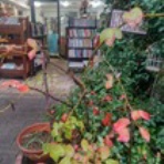 河野書店NEWS