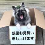 ちょびっとブログ