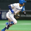 【日本ハム】中島がチーム事情で抹消　ここまで33試合で打率・333も