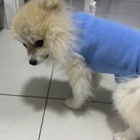 『ドニーと綿棒。過ぐ世現つ世紡ぐ糸MM413』の画像