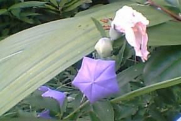 たっちん日記 たっちん日記