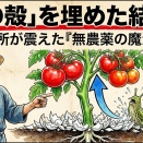 卵の殻を土に埋めたら — 近所が信じなかった結果（農薬なし）