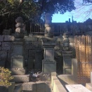 安房東条藩主西郷家の墓地