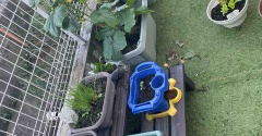 家庭菜園のこと