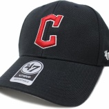 『堅実　クリーブランド・ガーディアンズ　2025MLBレビュー』の画像