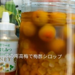 つれづれなるままに、いぬとし２