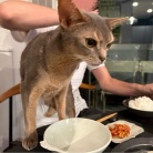 純豆腐鍋の夜ごはん