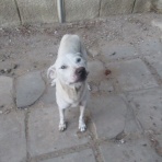 カイロ～天使たちの暮らす街～