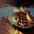 のとみいの日記