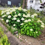       古希後の つぁま の生活ブログ