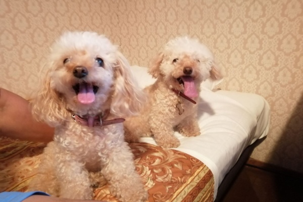 らりるれ るなちゃんず らりるれ るなちゃんず