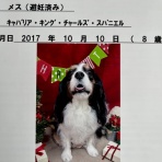 イヌじゃないの、ムスメなの☆