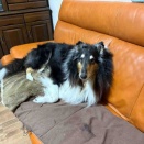 やっちまったよ　（ーー；）