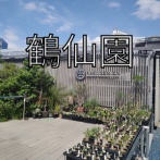 久しぶりに鶴仙園へ(2026年6月)