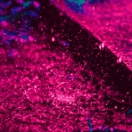 魔界のニュース