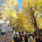 創造とコミュニケーションの実践