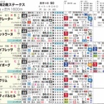 ハイブリッド競馬新聞