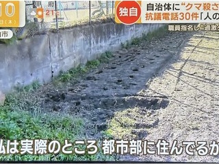 伊達みきお、クマ駆除めぐり私見「今抗議してるやつ何も知らないでしょ？ライオンとか虎と一緒じゃん」