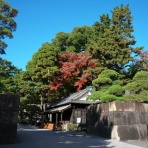 Dさんのタイ日記Ⅱ