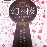 『【期間限定イベント】「日本橋桜フェスティバル」に行ってきました』の画像