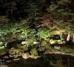 紅葉がライトアップ！『旧齋藤家別邸』で『秋の庭園ライトアップ2025』開催！11月14日～16日、21日～24日、28日～30日。