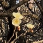 電子・電気科(電子工学／ホームエレクトロニクス／デジタル・オーディオコース)