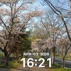 ⚘ ちょこっと日記 ⚘