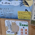 青シソの実でふりかけと天ぷら