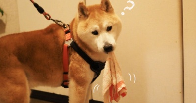 大丈夫か〜ぁ？？