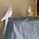 あれから1ヶ月✨✨✨✨