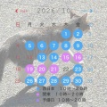 １０・１１月 講習日程のお知らせ🍁