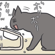 省エネすぎる猫