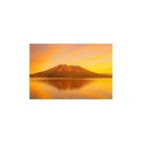 うっかりでがっかり