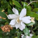 一斉清掃