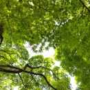 【性格の相性って、こんな感覚かもしれません】