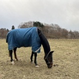 『景観』の画像