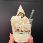 資格ゲッターが行く！