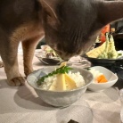 土鍋たけのこご飯と、たけのこづくしの夜ごはん