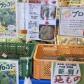 発見がいっぱい！