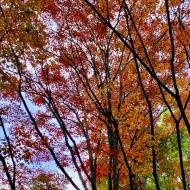 ていねいな暮らし