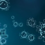 イギリスの新型コロナ変異種がまた変異！ 今度の変異種はワクチン耐性持ちか